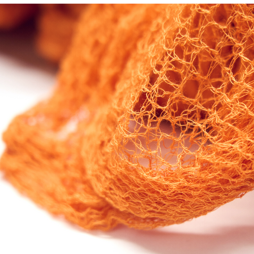 Cellulose Nets