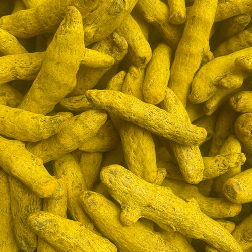 TURMERIC FINGER