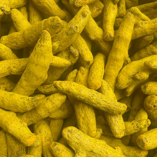 TURMERIC FINGER