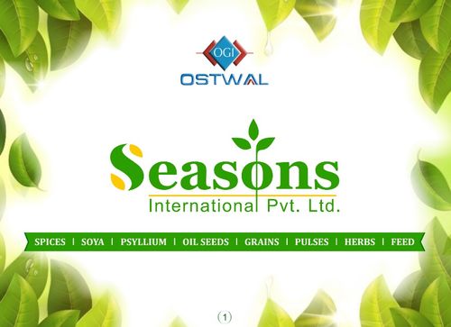 SEASONS INTERNATIONAL PVT. LTD.