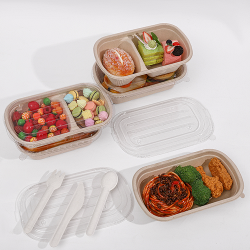 Bagasse bowl
