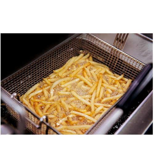 ELETRIC DEEP FRYER