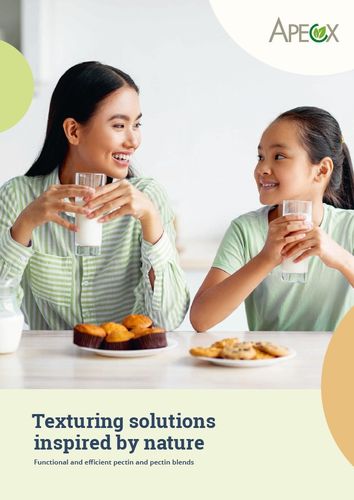 Company Brochure