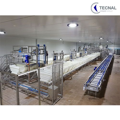 cheese production equipment