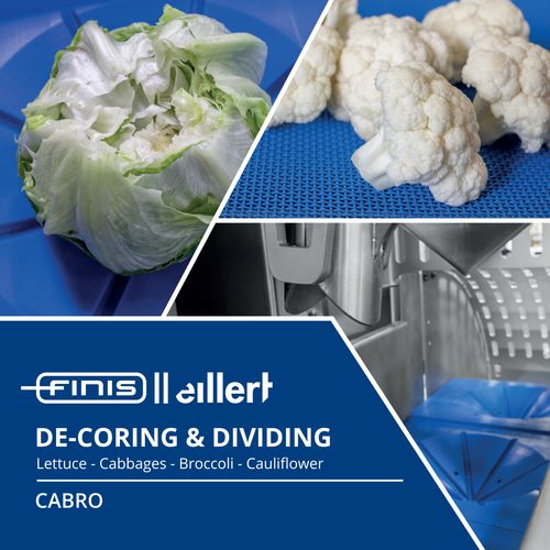 Decoring and floretting machine