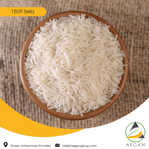 1509 Indian Basmati Rice