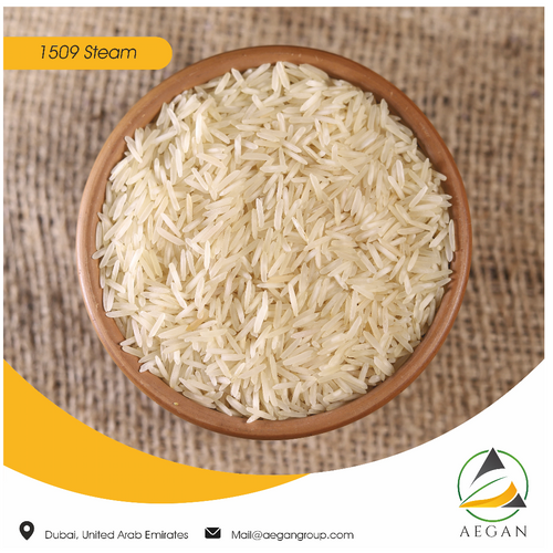 1509 Indian Basmati Rice