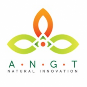 ANGT LLC