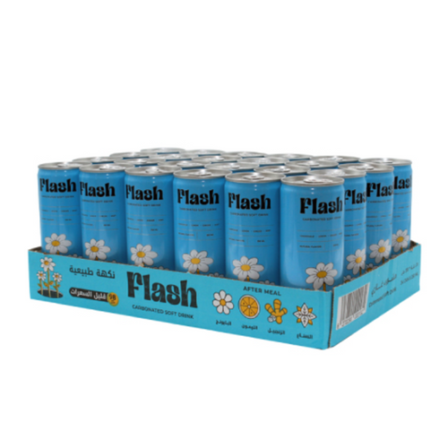 FLASH Carbonated Drink with Natural Flavors CAN 250ml