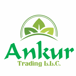 Ankur Trading LLC