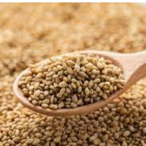 Sesame Seeds