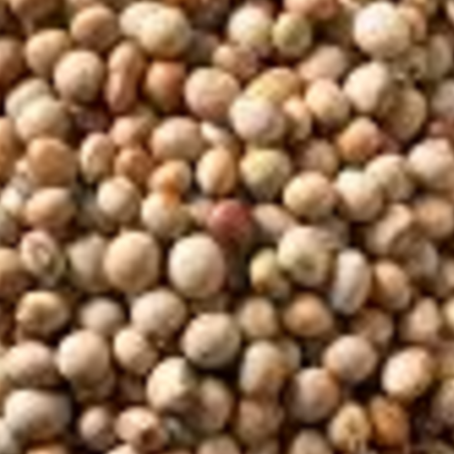 Peagon Peas