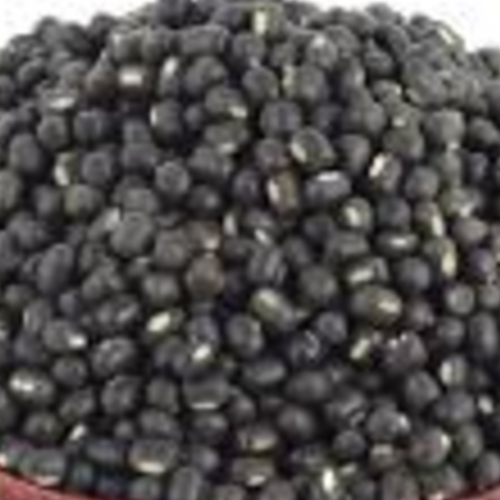 Black Matpe Bean