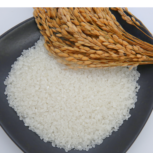 Sushi Rice
