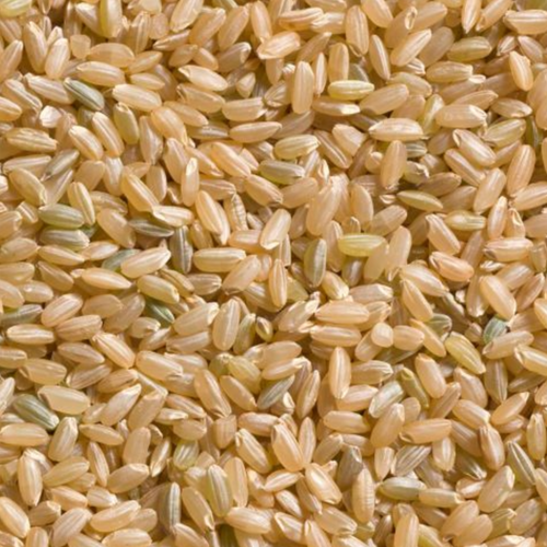 5% SWARNA BROWN RICE
