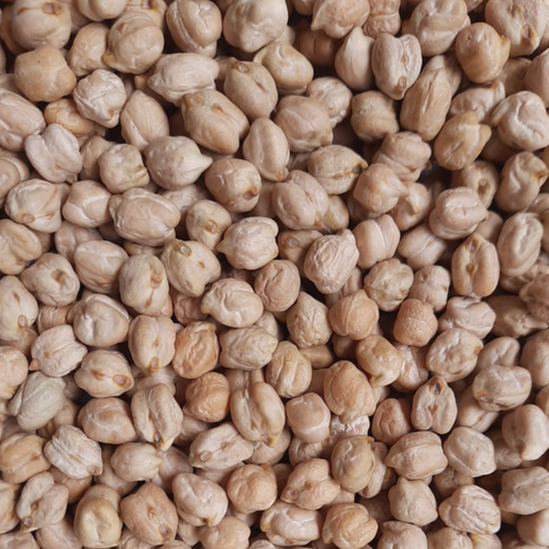 CHICKPEAS KABULI CHANA 9 MM 58/60