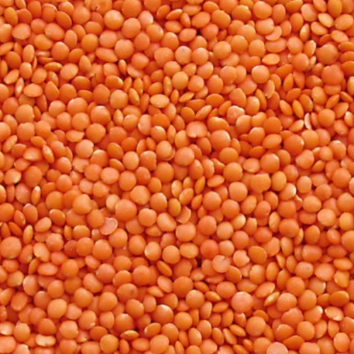 MASOOR DAL WHOLE