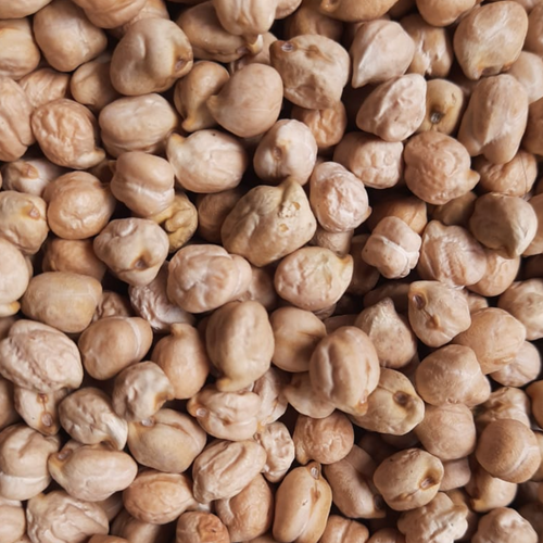 CHICKPEAS KABULI CHANA PKV2 80/85