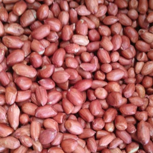 PEANUT BOLD JAVA
