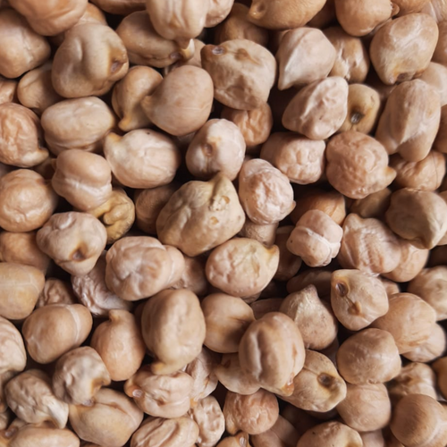 CHICKPEAS KABULI CHANA PKV2 80/85