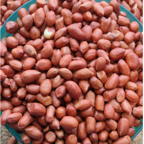 PEANUT BOLD JAVA