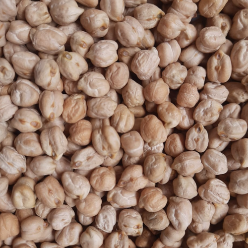 CHICKPEAS KABULI CHANA 9 MM 58/60