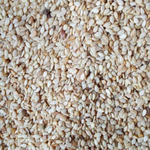 SESAME SEEDS