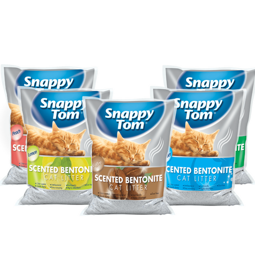 Snappy Tom