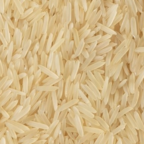 PAKISTANI SELLA 1121 RICE