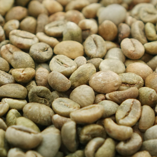 RAW COFFEE BEAN