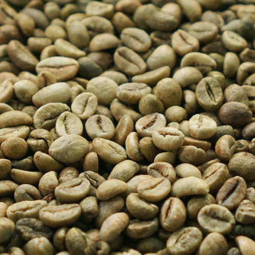 RAW COFFEE BEAN