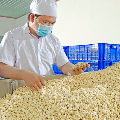 CASHEW NUTS