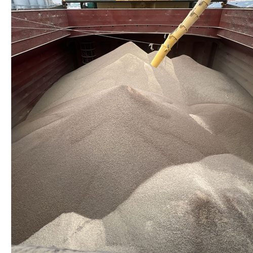 Wheat Bran Pellets