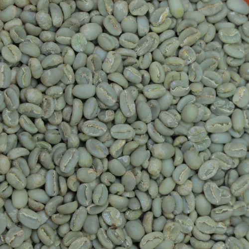 Ayehu Washed Coffee