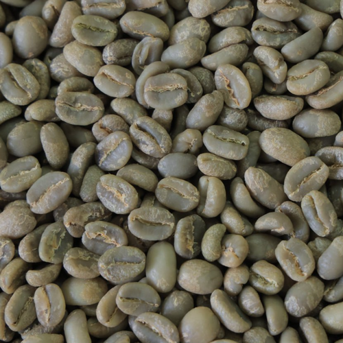 Sidamo Washed Coffee