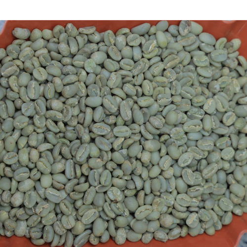 Ayehu Washed Coffee