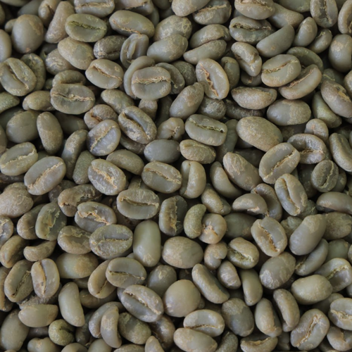 Sidamo Washed Coffee