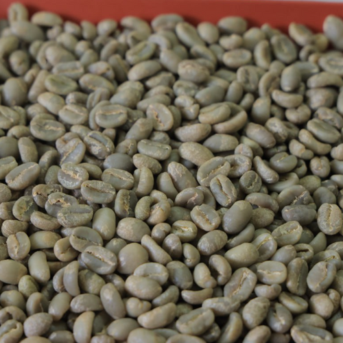 Beha Washed Coffee