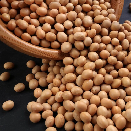 fat seeds
