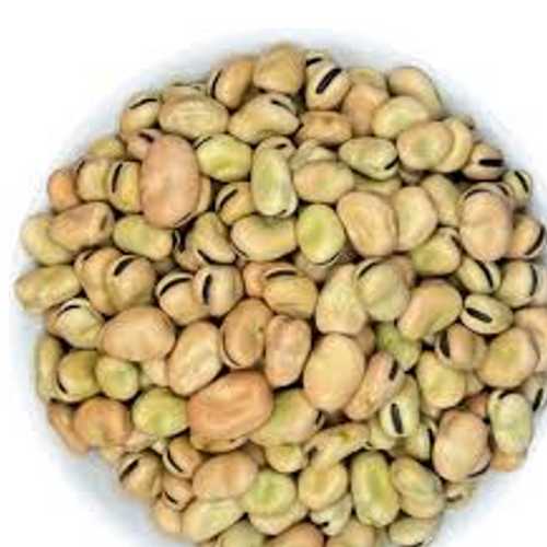 fat seeds
