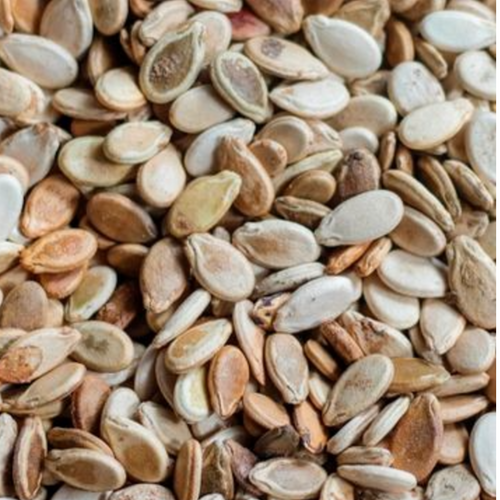 Watermelon seeds