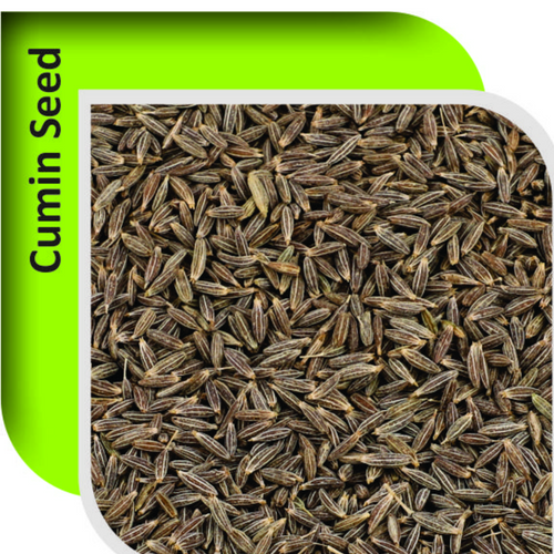 CUMIN SEEDS