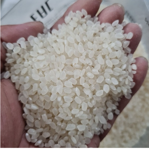 Japonica Rice