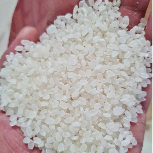 Japonica Rice