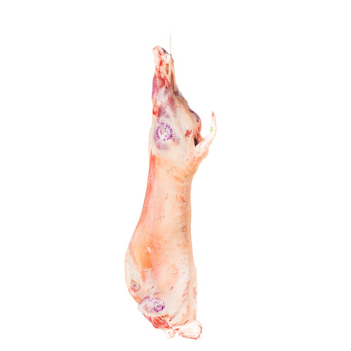 Lamb Whole Carcass Chilled ( South African)