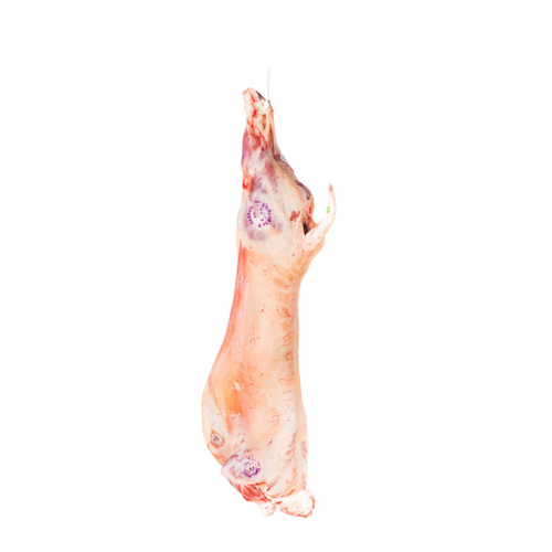 Lamb Whole Carcass Chilled ( South African)
