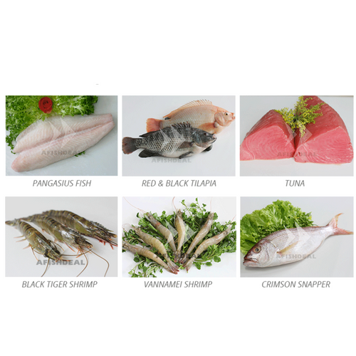 FISH / SHRIMPS / SQUID / ...