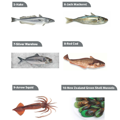 FISH / SHRIMPS / SQUID / ...