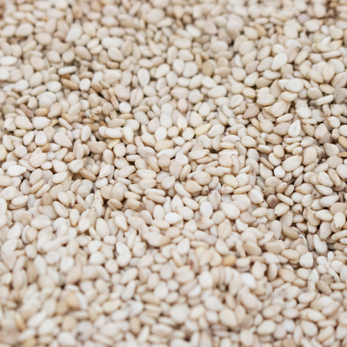 Sesame Seeds Humera Type
