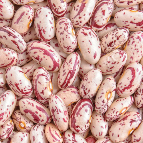 White Speckled RKB